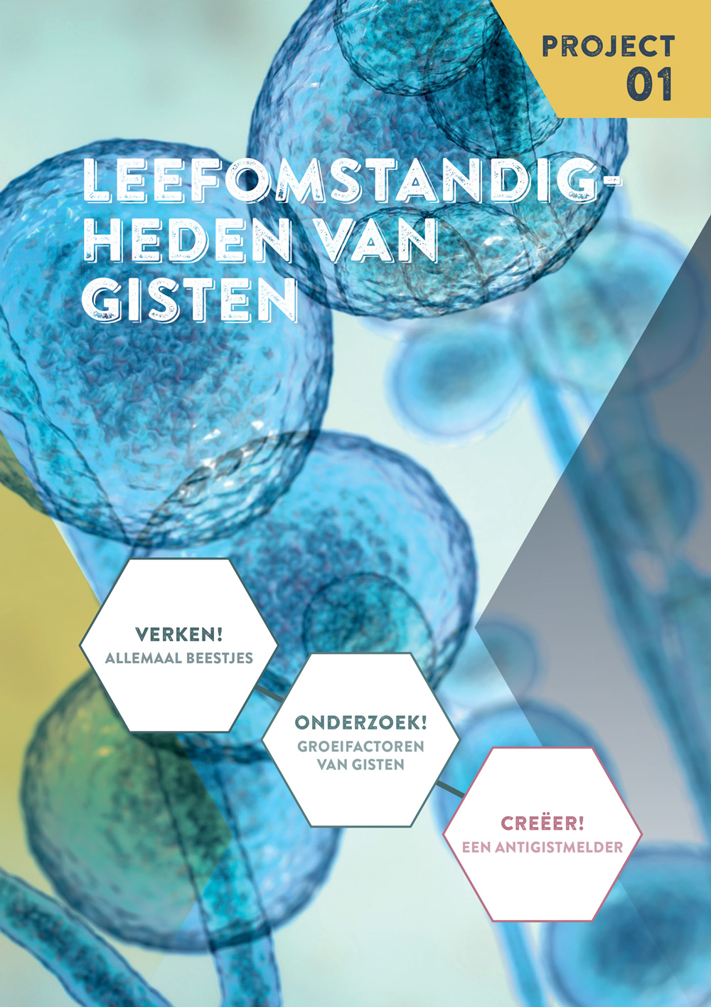 STEM-project Leefomstandigheden van gisten bij WONDER voor de basisoptie wetenschappen in jaar 2